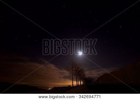 A Starry Sky Night By Moonlight Over Trees