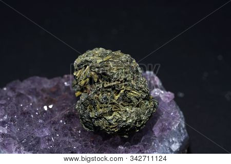 Jiaogulan Herb Is Also Often Referred To As The Herb Of Immortality.