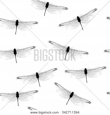 Seamless Texture Pattern With Dragonfly Silhouettes. Dragonflies On A White Background Pattern. Patt