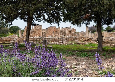 Ancient Columns Of Apollon Hylates, God Of Woodland,  Sanctuary In Limassol District, Cyprus