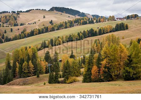 Landscape With Beautiful Autumn Yellow And Green Pine Trees At The Alpe Di Siusi Valley In The  Ital