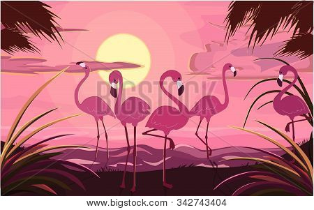 Five Pink Flamingos In The Wild At Sunset