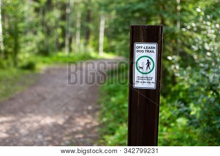 Off Leash Dog Trail Sign Posted On A Wooden Pole In A Canadian Beautiful Mountain Trail Surrounded B