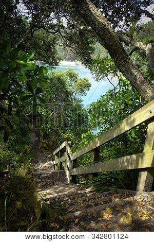 Beautiful Coastal Track, Ohope, Bay Of Plenty