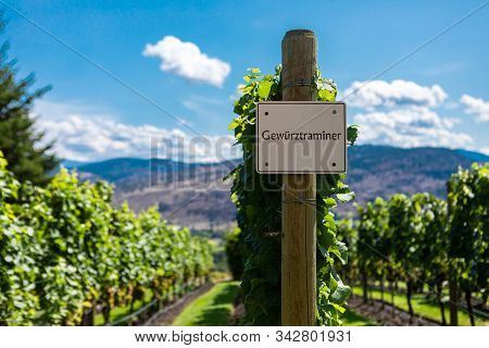 Gewurztraminer Wine Grape Variety Sign On Wooden Vertical End Post, Vineyard Varieties Signs, Okanag