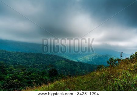 Amazing Weather In Wayanad Kerala Beautiful Nature Scenery Foggy Mountain With Green Trees Place To 