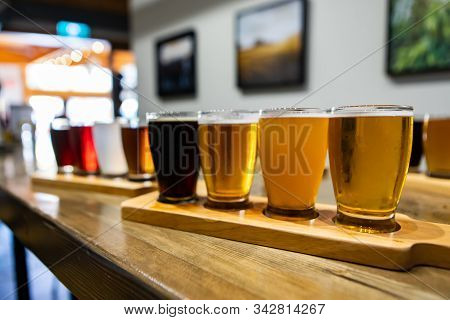 Flight Of Craft Four Of Different Beers Glasses On A Wooden Tray During A Tasting Session, Selective