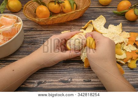 The Girls Hands Are Cleaning Tangerine, Tangerines On A Twig With Green Leaves, Peeled Tangerines In