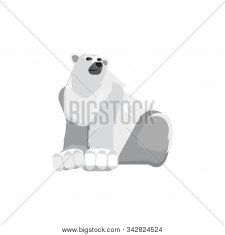 Polar Bear On A White Background. Illustration Of A Bear. Rare Wild Animal Sitting Vector