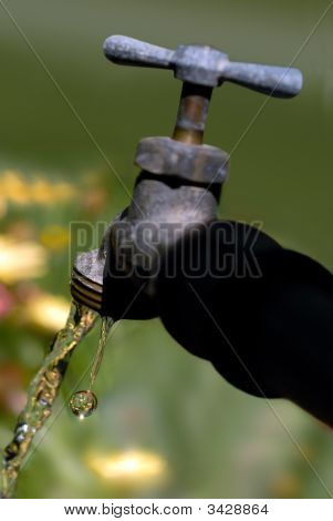 Kapající kohoutek jarní Ii