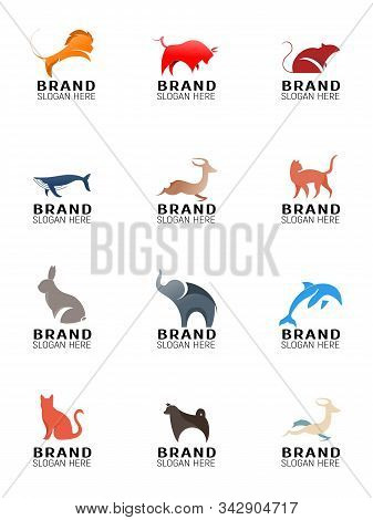 Collection Of Animal Logo, Bull, Lion, Dolphin, Dog, Rat, Whale Cat Elephant Rabbit Antelope Deer