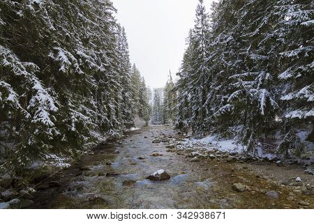 Winter Landscape, Beautiful Winter Nature: Fast Mountain River Flows Among A Snowy Coniferous Forest