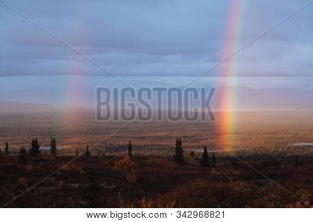 Rainbow From Lake In Alaska