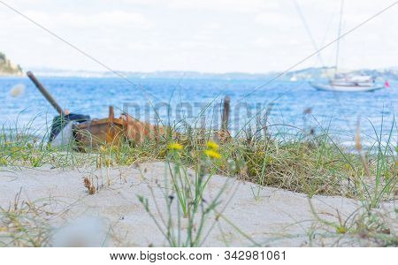 Beach Background Image Of Defocused Wooden Clinker Dinghy Pulled On Beach In Vivian Bay, Kawau Islan