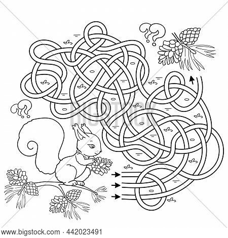 Maze Or Labyrinth Game. Puzzle. Tangled Road. Coloring Page Outline Of Cartoon Squirrel With Fir Con