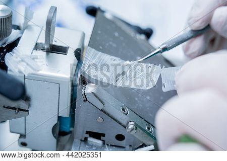 Laboratory Assistant Works On A Rotary Microtome Section And Making Microscope Slides