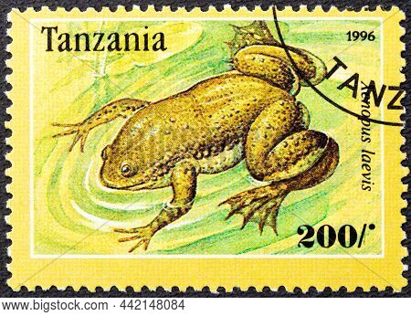 Tanzania - Circa 1996: A Stamp Printed In Tanzania Shows Xenopus Laevis.