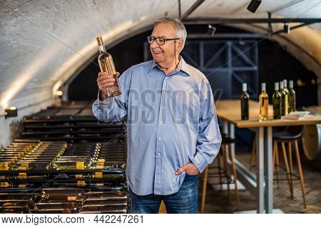 Portrait Of Senior Man Who Owns Winery. He Is Examining Quality In His Wine Cellar. Industry Wine Ma