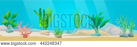 Underwater Ocean Fauna With Seaweed. Ocean Bottom With Marine Life Reprsentatives. Underwater World 