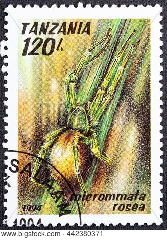 Tanzania - Circa 1994: A Stamp Printed In Tanzania Shows Image Of A Micrommata Rosea.
