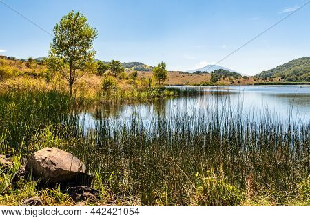 View Of Biviere Lake With Etna Volcano, Nebrodi National Park, Sicily, Italy
