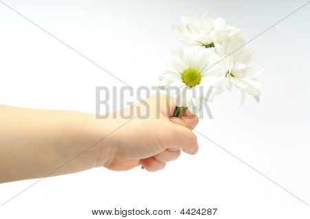Blumen