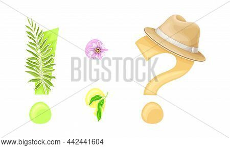 Summer Punctuation Marks Set. Question, Exclamation, Semicolon Signs Vector Illustration