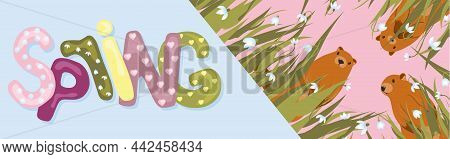 Spring. The Inscription On A Light Background. Trendy Trendy Background. Groundhog Day Horizontal Ba