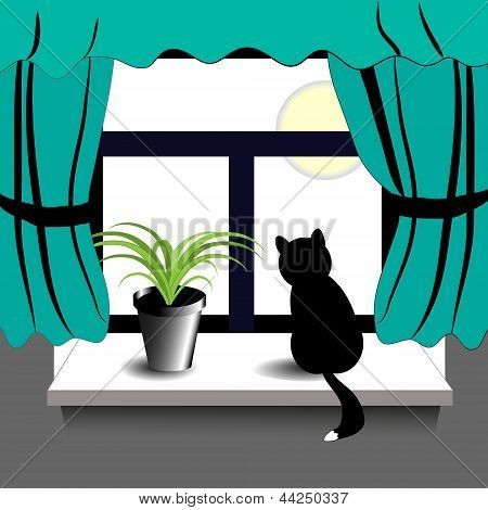 Window2