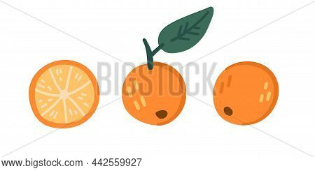 Set Of Illustrations Of Mandarin, Orange, Citrus. Objects Isolated On White Background.
