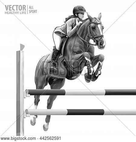 Jockey On Horse. White Horse. Champion. Horse Riding. Equestrian Sport. Jockey Riding Jumping Horse.