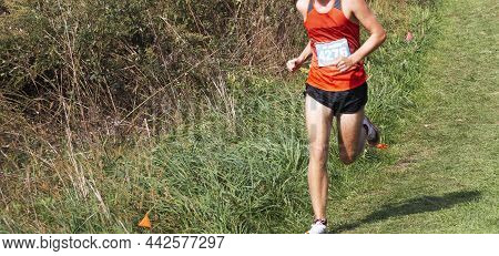 A High School Boy Is Running On A Grass Field In Bowdoin Park During A Cross Country 5k Running Race
