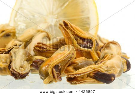 Mossel