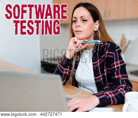 Conceptual Caption Software Testing. Word Written On Investigation Provide Information About The Qua
