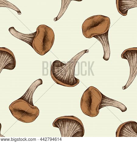 Seamless Pattern With Hand Drawn Colored Oyster Mushroom Stock Illustration