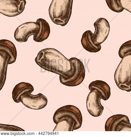 Seamless Pattern With Hand Drawn Colored Porcini Stock Illustration