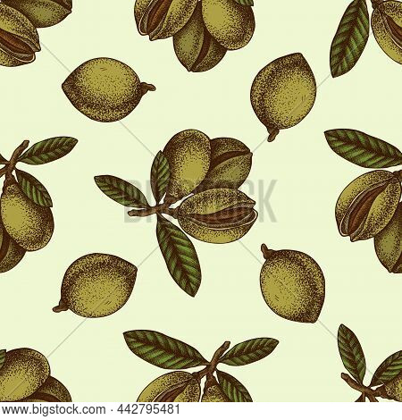 Seamless Pattern With Hand Drawn Colored Almond, Letters Stock Illustration