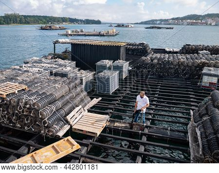 O Grove, Spain - July 24, 2021:
Farmer Demonstrates Mussels To Tourists At The Molluscs Farm Platfor