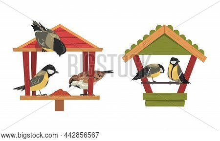 Winter Birds Feeding By Seeds And Grains Poured On Birdfeeder Or Bird Table Vector Set