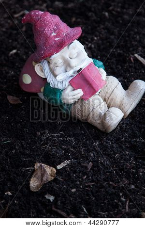 สวนแคระอ่านหนังสือ