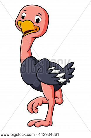 The Happy Ostrich Is Standing With The One Leg Up Of Illustration