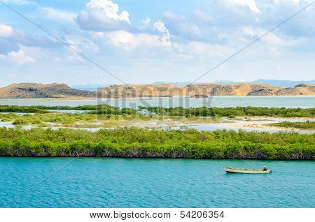 Mangroves And Boat