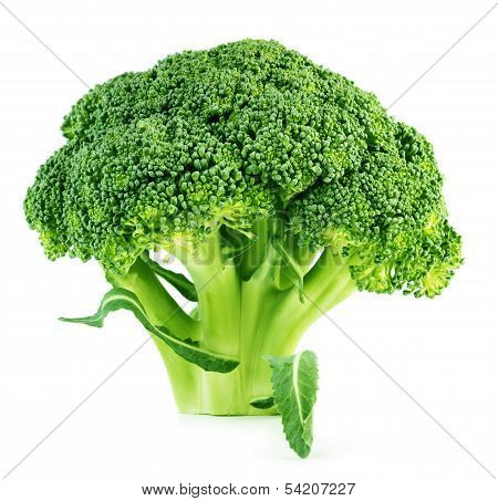 Broccoli