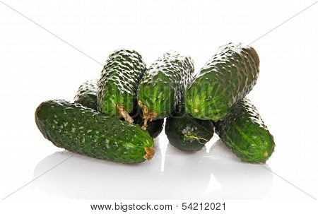 Fresh green cucumbers in waters drops