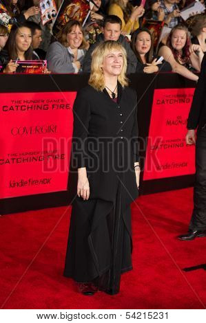LOS ANGELES, CA - NOVEMBER 18: Actress Amanda Plummer arrives at the premiere of The Hunger Games: Catching Fire at the Nokia Theater in Los Angeles, CA on November 18, 2013
