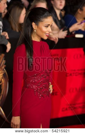 LOS ANGELES, CA - NOVEMBER 18: Actress Meta Golding arrives at the premiere of The Hunger Games: Catching Fire at the Nokia Theater in Los Angeles, CA on November 18, 2013