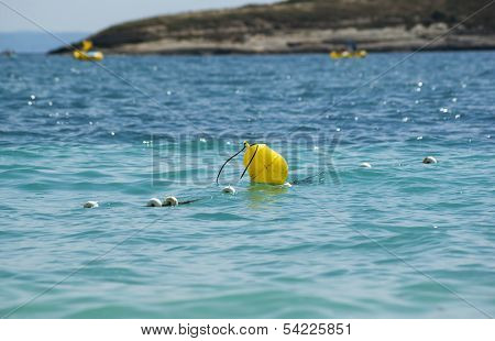 Buoy