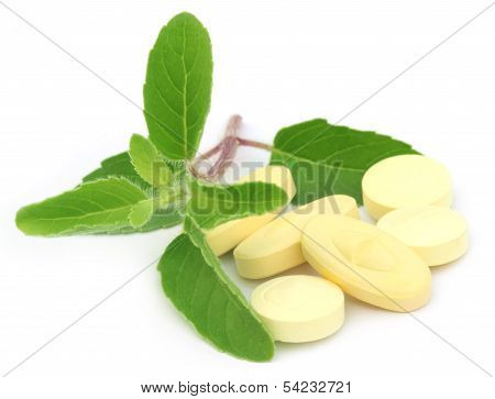 Tablets With Medicinal Holy Basil