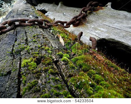 Log