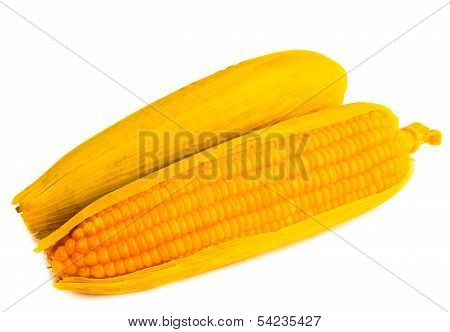 Two Corn Cob On White Table